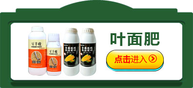 葉面肥